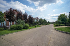DSC08513
